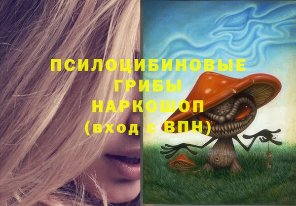 PSILOCYBIN Дмитриев