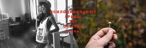 стафф Дмитровск