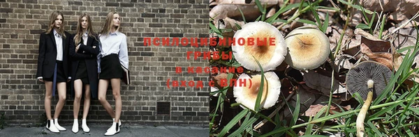 прущие крисы Дмитров
