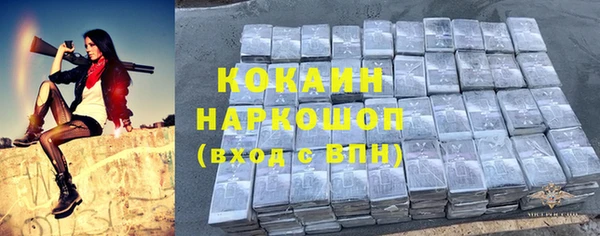 стафф Дмитровск