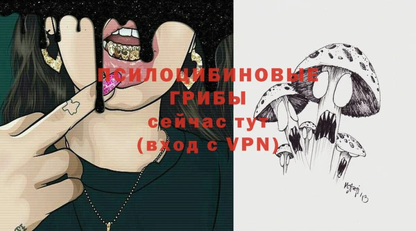 дмт Весьегонск