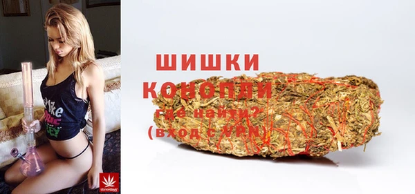 PSILOCYBIN Дмитриев