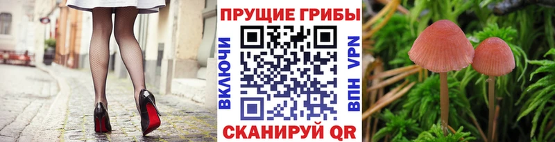 Псилоцибиновые грибы мухоморы  Донецк 